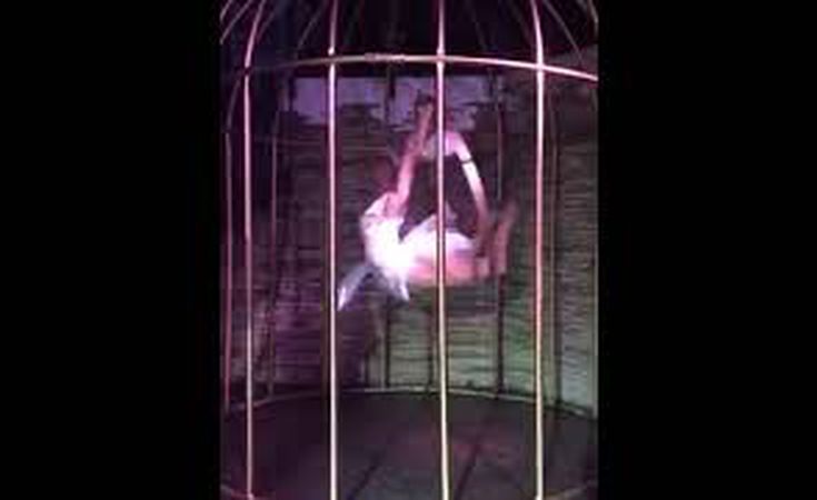 Птица в Клетке 🎭 оригинальное шоу - заказать Днепр - Видео 2